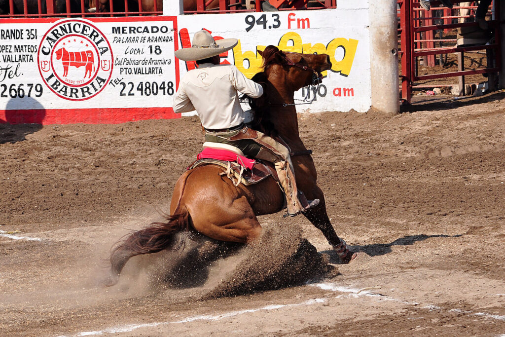 A Mexican horse rider takes part in Charreria, one of the most popular sports in Mexico